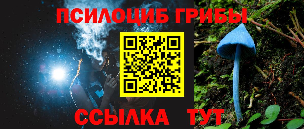 Галлюциногенные грибы Cubensis Сарапул